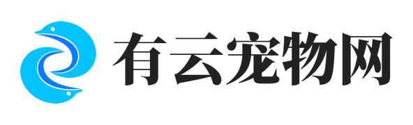 宠物站
