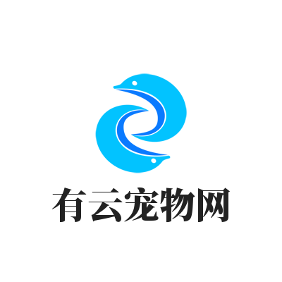 宠物站二维码