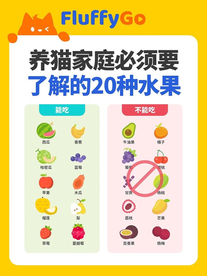 解析“2个月猫咪吃什么”你不知道的事-第4张图片 解析“2个月猫咪吃什么”你不知道的事-第4张图片