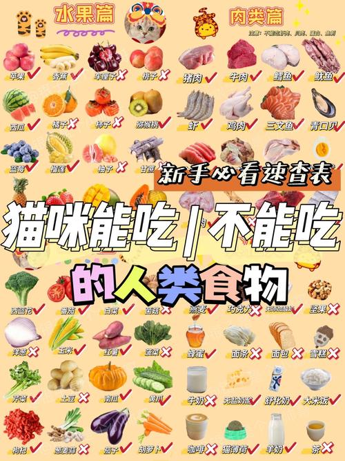 解析“2个月猫咪吃什么”你不知道的事-第7张图片 解析“2个月猫咪吃什么”你不知道的事-第7张图片