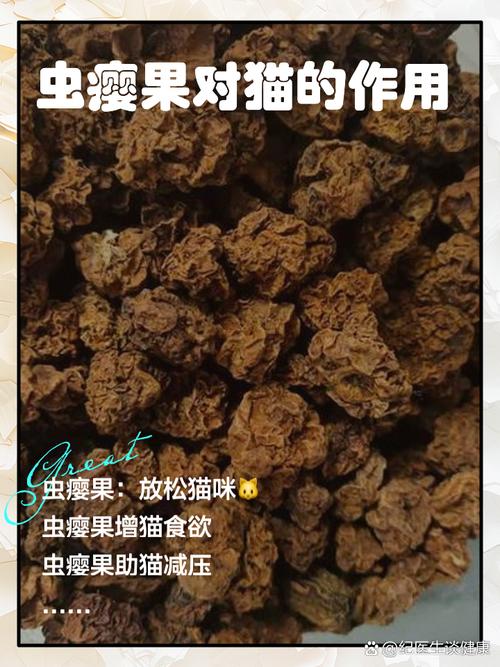 解析“虫瘿果对猫的作用”你不知道的事-第3张图片 解析“虫瘿果对猫的作用”你不知道的事-第3张图片