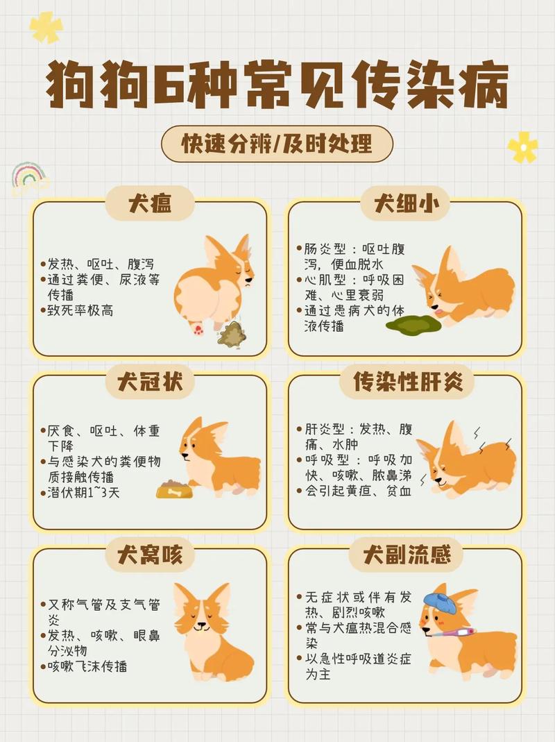 解析“关于宠物的问题”你不知道的事