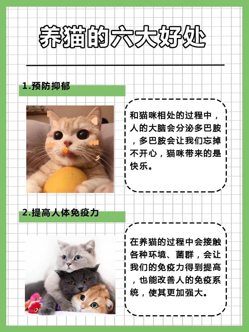 解析“关于宠物的问题”你不知道的事-第2张图片 解析“关于宠物的问题”你不知道的事-第2张图片