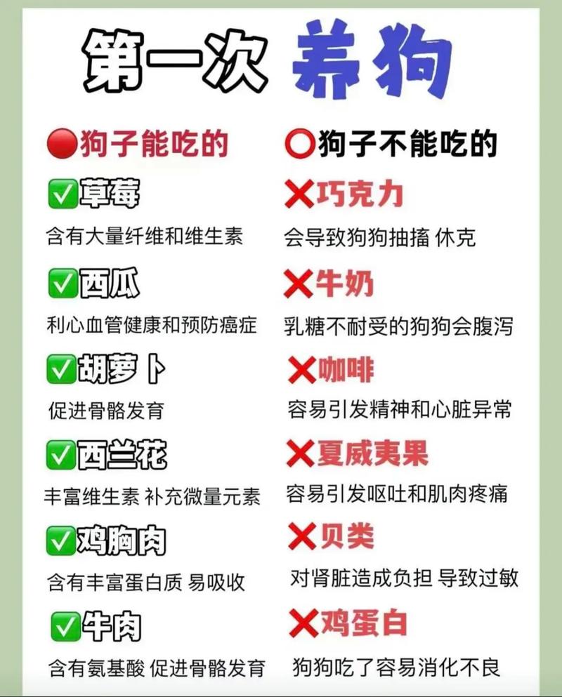 解析“关于宠物的问题”你不知道的事-第4张图片 解析“关于宠物的问题”你不知道的事-第4张图片