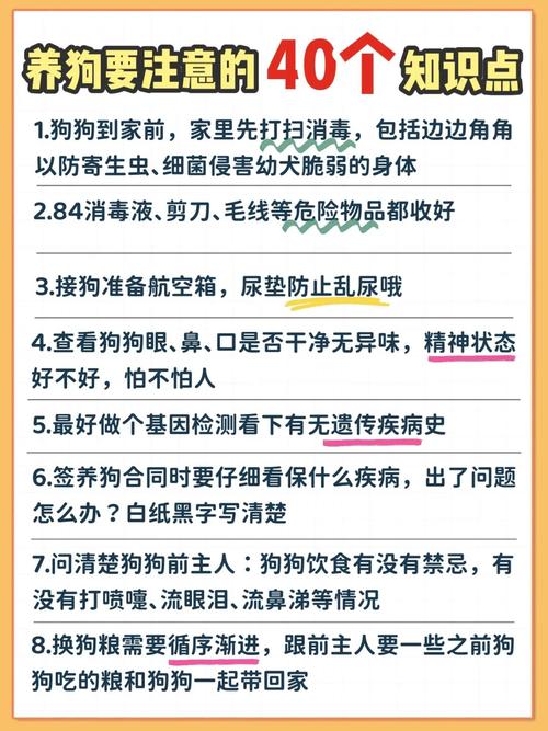 解析“关于宠物的问题”你不知道的事-第5张图片 解析“关于宠物的问题”你不知道的事-第5张图片