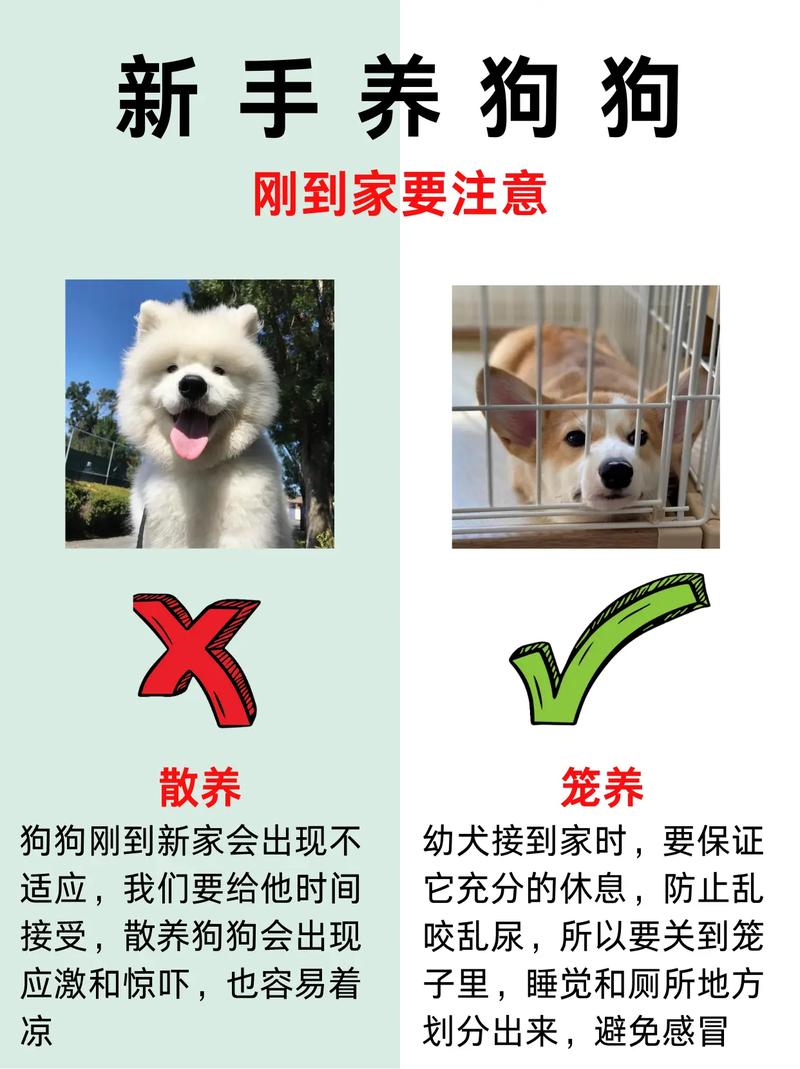 解析“关于宠物的问题”你不知道的事-第8张图片 解析“关于宠物的问题”你不知道的事-第8张图片