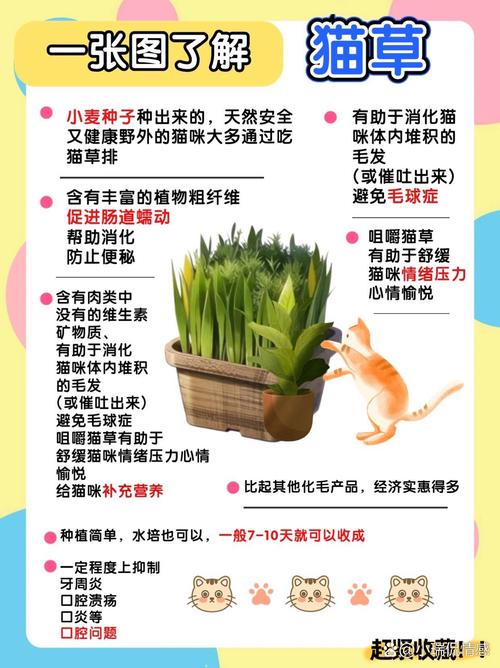 吃草猫/吃草猫是什么品种-第5张图片 吃草猫/吃草猫是什么品种-第5张图片