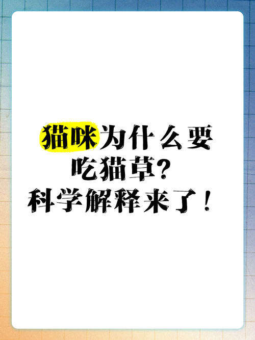 吃草猫/吃草猫是什么品种-第9张图片 吃草猫/吃草猫是什么品种-第9张图片