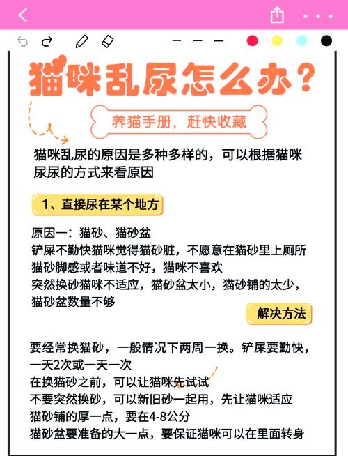 关于猫咪不上厕所怎么办的信息