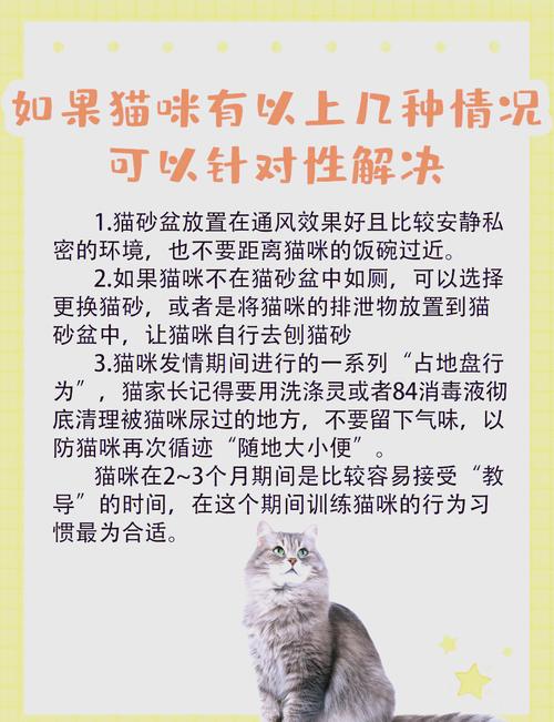 关于猫咪不上厕所怎么办的信息-第3张图片 关于猫咪不上厕所怎么办的信息-第3张图片