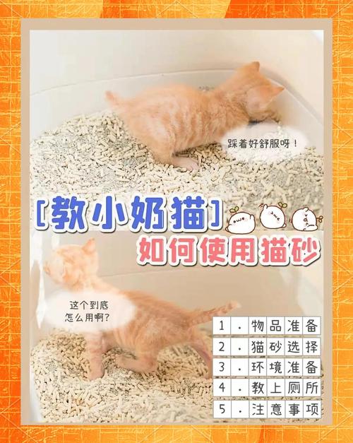 关于猫咪不上厕所怎么办的信息-第5张图片 关于猫咪不上厕所怎么办的信息-第5张图片