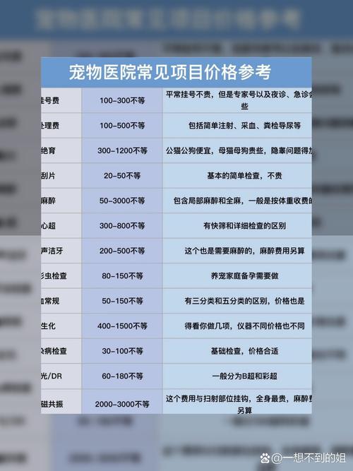 猫咪照ct多少钱-猫咪拍ct多少钱-第4张图片 猫咪照ct多少钱-猫咪拍ct多少钱-第4张图片