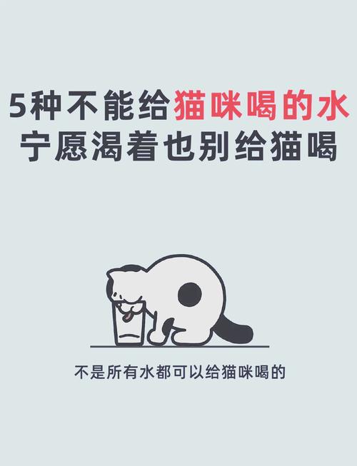 猫咪可以喝奶茶吗,猫可以喝奶茶粉吗-第8张图片 猫咪可以喝奶茶吗,猫可以喝奶茶粉吗-第8张图片