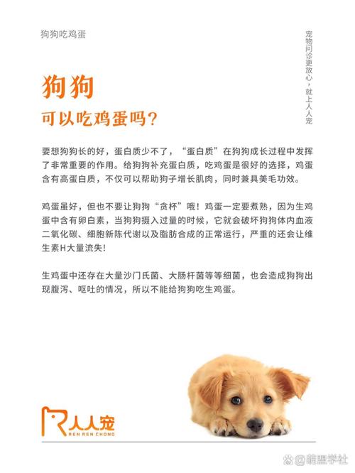 解析“狗狗吃生鸡蛋好不好”你不知道的事-第4张图片 解析“狗狗吃生鸡蛋好不好”你不知道的事-第4张图片