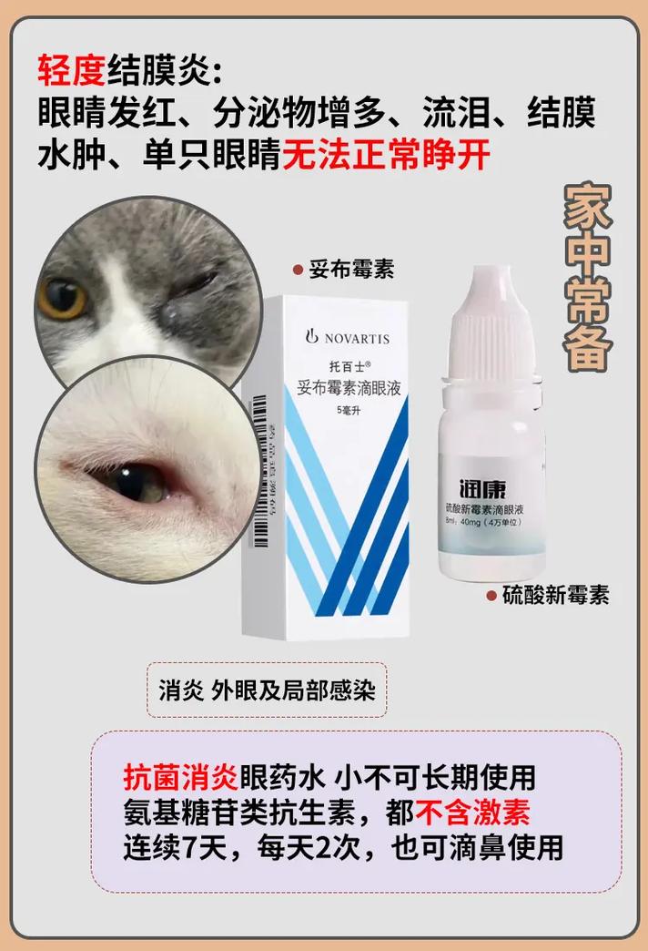 作为消费者“猫咪角膜炎怎么治疗”你不能不知道-第4张图片 作为消费者“猫咪角膜炎怎么治疗”你不能不知道-第4张图片