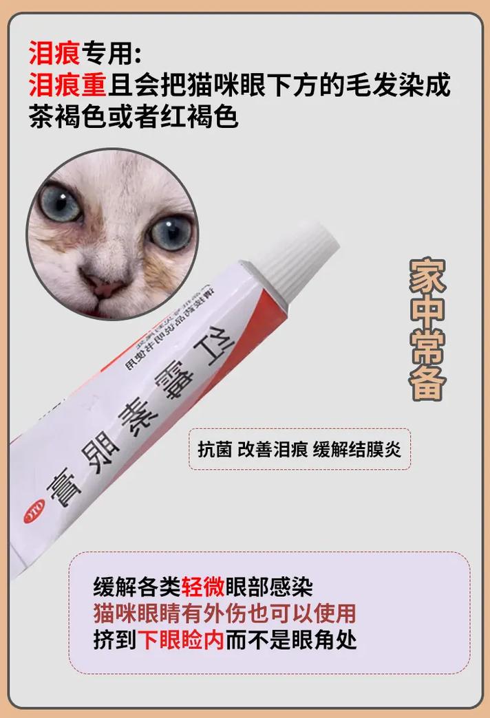作为消费者“猫咪角膜炎怎么治疗”你不能不知道-第7张图片 作为消费者“猫咪角膜炎怎么治疗”你不能不知道-第7张图片
