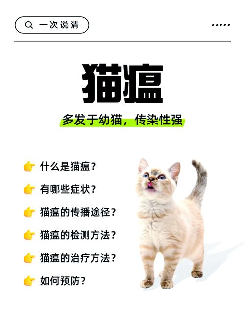 猫瘟潜伏期会超过10天么-猫瘟潜伏期也会传染吗-第1张图片 猫瘟潜伏期会超过10天么-猫瘟潜伏期也会传染吗-第1张图片