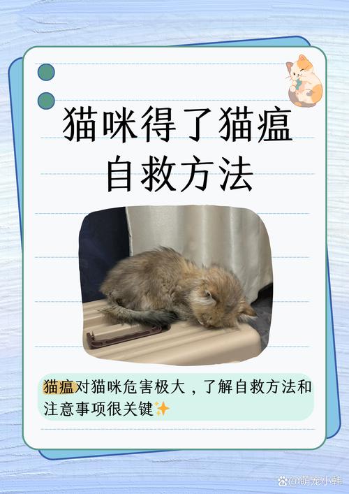 猫瘟潜伏期会超过10天么-猫瘟潜伏期也会传染吗-第5张图片 猫瘟潜伏期会超过10天么-猫瘟潜伏期也会传染吗-第5张图片