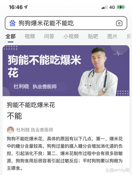 解析“狗狗可以吃爆米花吗”你不知道的事-第3张图片 解析“狗狗可以吃爆米花吗”你不知道的事-第3张图片