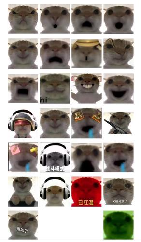 猫可以带上地铁吗-猫可以带上地铁吗北京-第2张图片 猫可以带上地铁吗-猫可以带上地铁吗北京-第2张图片