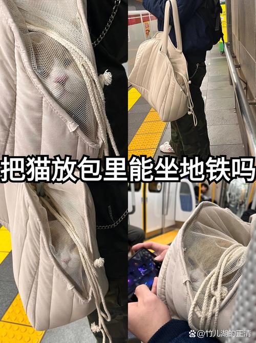 猫可以带上地铁吗-猫可以带上地铁吗北京-第4张图片 猫可以带上地铁吗-猫可以带上地铁吗北京-第4张图片