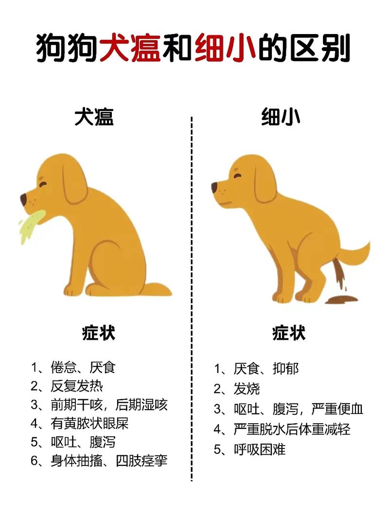 解析“狗瘟什么症状是什么样子的”你不知道的事-第8张图片 解析“狗瘟什么症状是什么样子的”你不知道的事-第8张图片