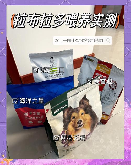 解析“小狗狗粮什么牌子好”你不知道的事-第2张图片 解析“小狗狗粮什么牌子好”你不知道的事-第2张图片