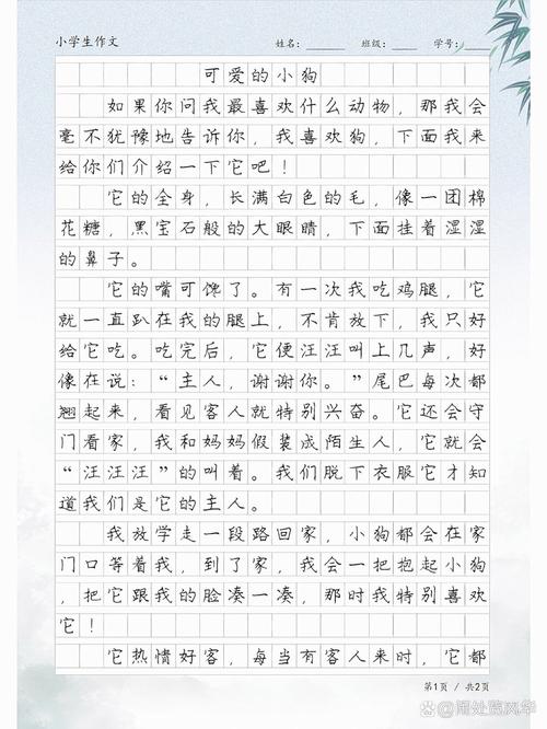 狗的外貌特征,狗的外貌特征英语-第4张图片 狗的外貌特征,狗的外貌特征英语-第4张图片