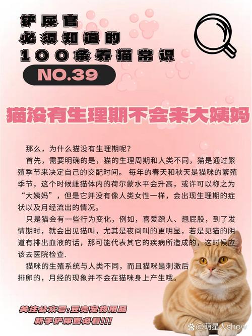 猫咪会来大姨妈吗/猫咪尿血能自愈吗-第8张图片 猫咪会来大姨妈吗/猫咪尿血能自愈吗-第8张图片