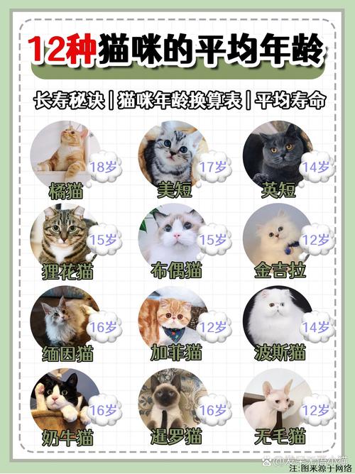 猫咪会来大姨妈吗/猫咪尿血能自愈吗-第9张图片 猫咪会来大姨妈吗/猫咪尿血能自愈吗-第9张图片