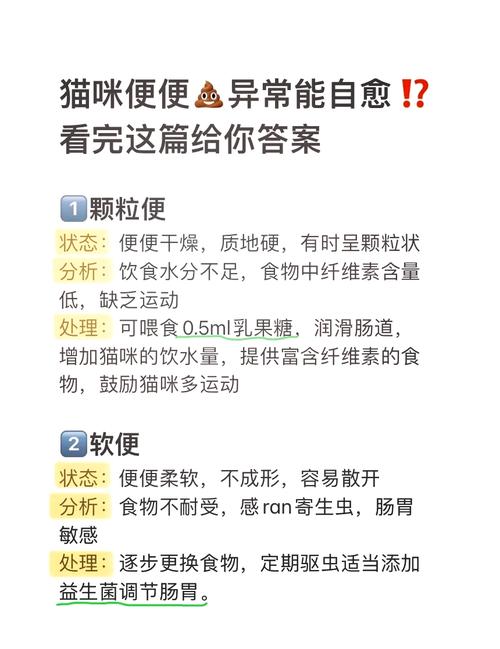 猫咪消化不良吃什么药-猫咪消化不良吃什么药效果比较好-第1张图片 猫咪消化不良吃什么药-猫咪消化不良吃什么药效果比较好-第1张图片