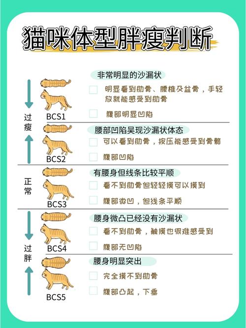 猫咪消化不良吃什么药-猫咪消化不良吃什么药效果比较好-第2张图片 猫咪消化不良吃什么药-猫咪消化不良吃什么药效果比较好-第2张图片