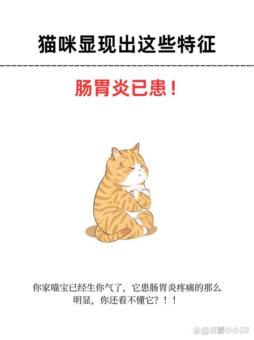 猫咪消化不良吃什么药-猫咪消化不良吃什么药效果比较好-第4张图片 猫咪消化不良吃什么药-猫咪消化不良吃什么药效果比较好-第4张图片