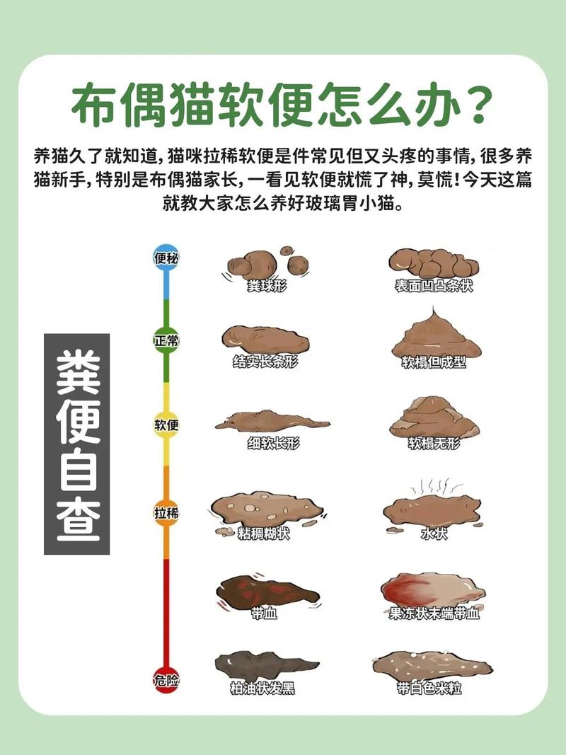 猫咪消化不良吃什么药-猫咪消化不良吃什么药效果比较好-第5张图片 猫咪消化不良吃什么药-猫咪消化不良吃什么药效果比较好-第5张图片