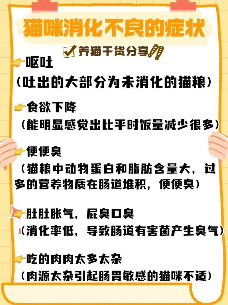 猫咪消化不良吃什么药-猫咪消化不良吃什么药效果比较好-第7张图片 猫咪消化不良吃什么药-猫咪消化不良吃什么药效果比较好-第7张图片