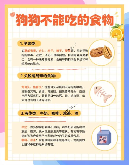 狗狗怀孕可以吃鸡骨头吗-狗狗怀孕后能不能吃鸡骨头-第9张图片 狗狗怀孕可以吃鸡骨头吗-狗狗怀孕后能不能吃鸡骨头-第9张图片