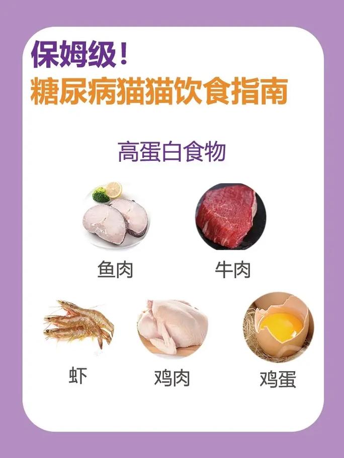 猫咪血糖高怎么办,猫咪血糖很高-第2张图片 猫咪血糖高怎么办,猫咪血糖很高-第2张图片