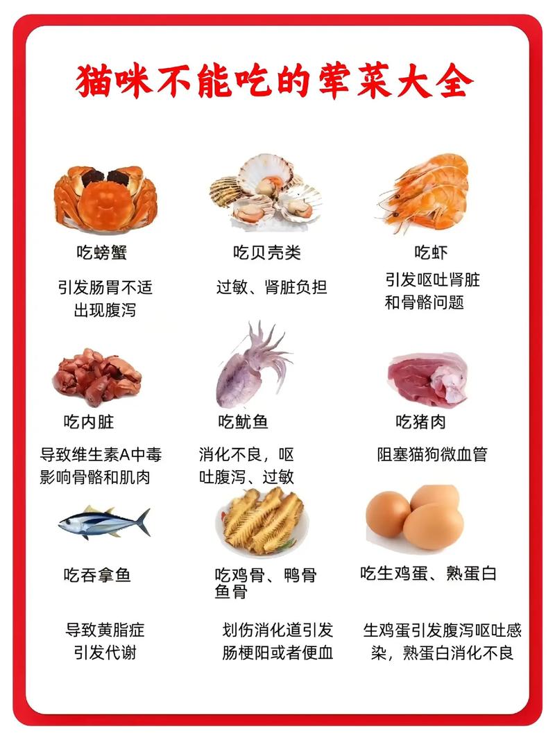 猫咪血糖高怎么办,猫咪血糖很高-第10张图片 猫咪血糖高怎么办,猫咪血糖很高-第10张图片