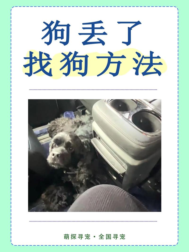 狗狗丢了怎么找-狗走丢了怎么找-第2张图片 狗狗丢了怎么找-狗走丢了怎么找-第2张图片