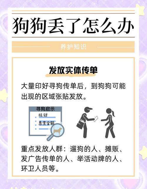 狗狗丢了怎么找-狗走丢了怎么找-第5张图片 狗狗丢了怎么找-狗走丢了怎么找-第5张图片