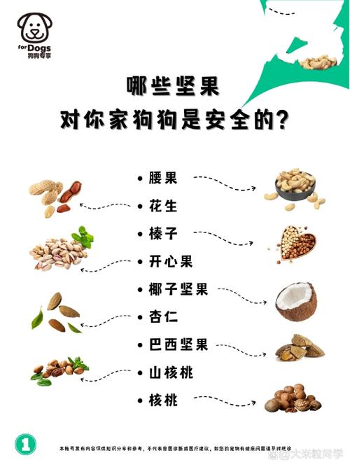 狗狗能吃芒果干吗,狗狗可以吃芒果干嘛-第2张图片 狗狗能吃芒果干吗,狗狗可以吃芒果干嘛-第2张图片