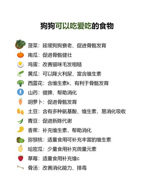 狗狗能吃芒果干吗,狗狗可以吃芒果干嘛-第5张图片 狗狗能吃芒果干吗,狗狗可以吃芒果干嘛-第5张图片