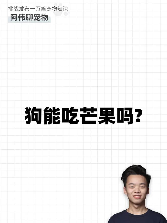 狗狗能吃芒果干吗,狗狗可以吃芒果干嘛-第6张图片 狗狗能吃芒果干吗,狗狗可以吃芒果干嘛-第6张图片