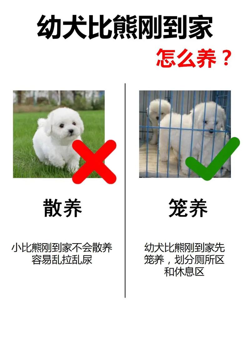 领养的狗狗能养熟吗/领养的狗吉利吗-第8张图片 领养的狗狗能养熟吗/领养的狗吉利吗-第8张图片