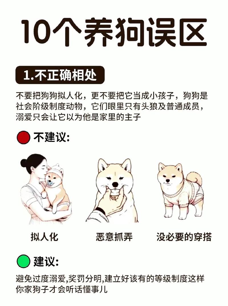 领养的狗狗能养熟吗/领养的狗吉利吗-第10张图片 领养的狗狗能养熟吗/领养的狗吉利吗-第10张图片