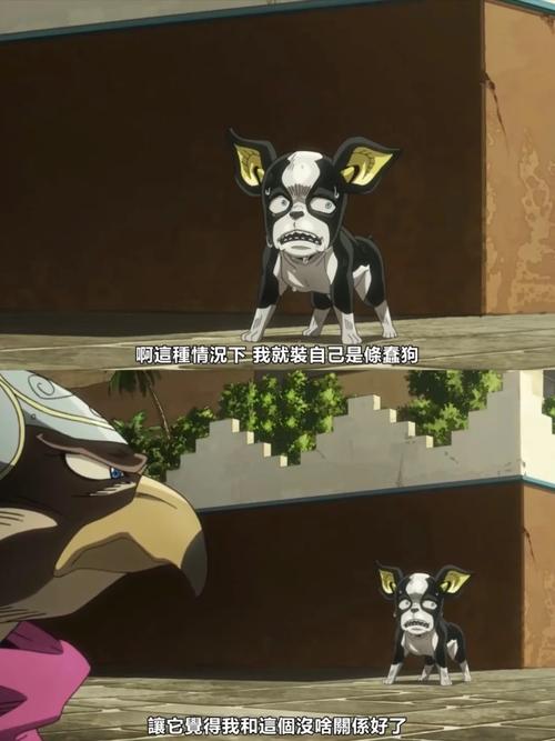 作为消费者“伊奇”你不能不知道-第8张图片 作为消费者“伊奇”你不能不知道-第8张图片
