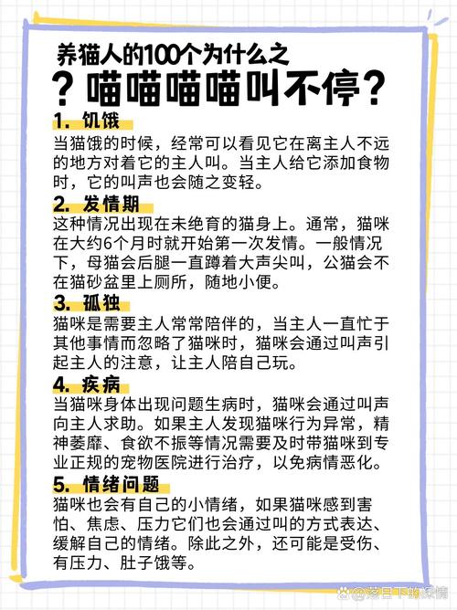 猫咪总叫唤是怎么了-猫一直走来走去还叫唤-第1张图片 猫咪总叫唤是怎么了-猫一直走来走去还叫唤-第1张图片