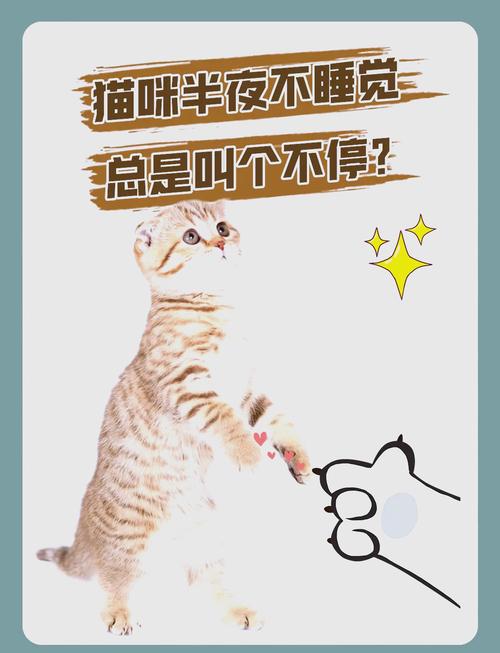 猫咪总叫唤是怎么了-猫一直走来走去还叫唤-第5张图片 猫咪总叫唤是怎么了-猫一直走来走去还叫唤-第5张图片