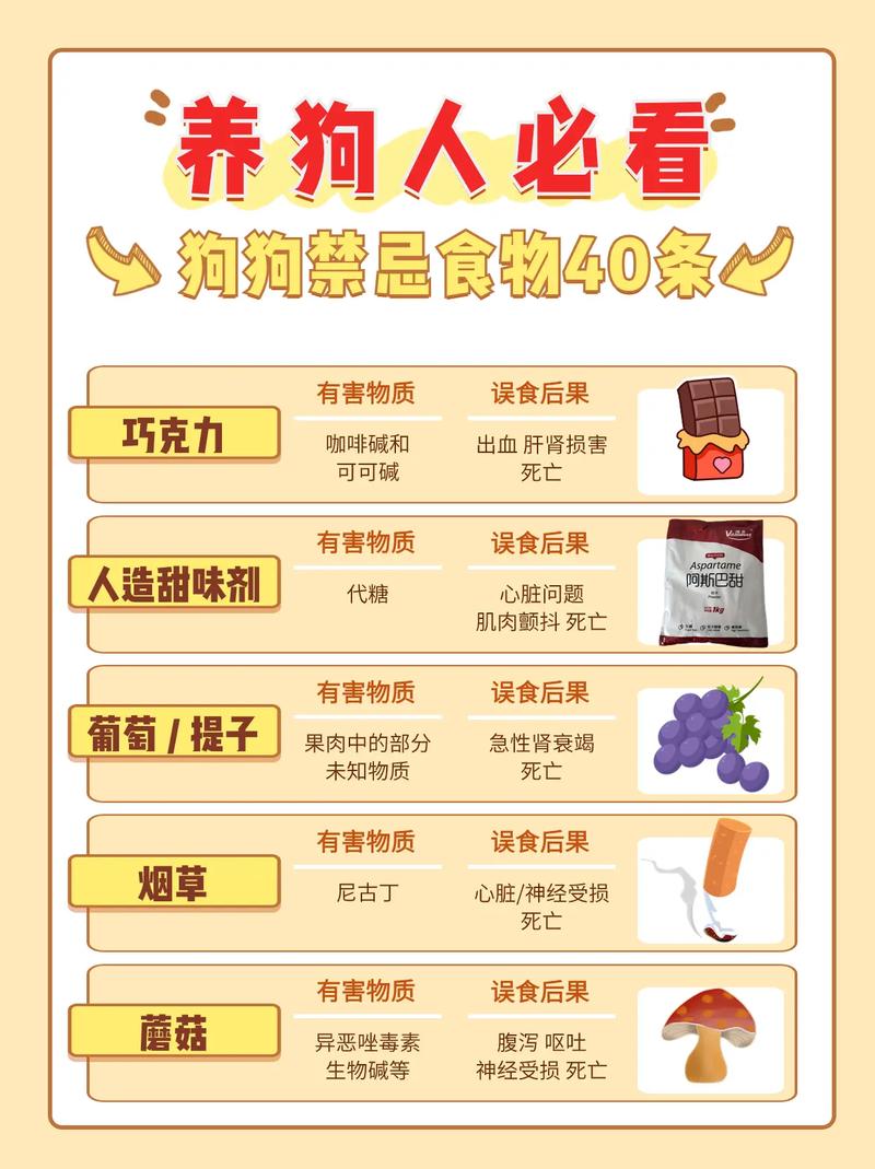 作为消费者“一个月的狗狗养的禁忌”你不能不知道-第2张图片 作为消费者“一个月的狗狗养的禁忌”你不能不知道-第2张图片