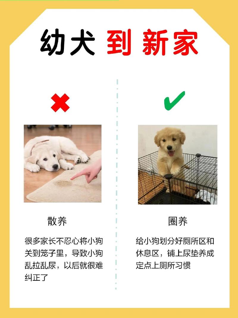 作为消费者“一个月的狗狗养的禁忌”你不能不知道-第3张图片 作为消费者“一个月的狗狗养的禁忌”你不能不知道-第3张图片